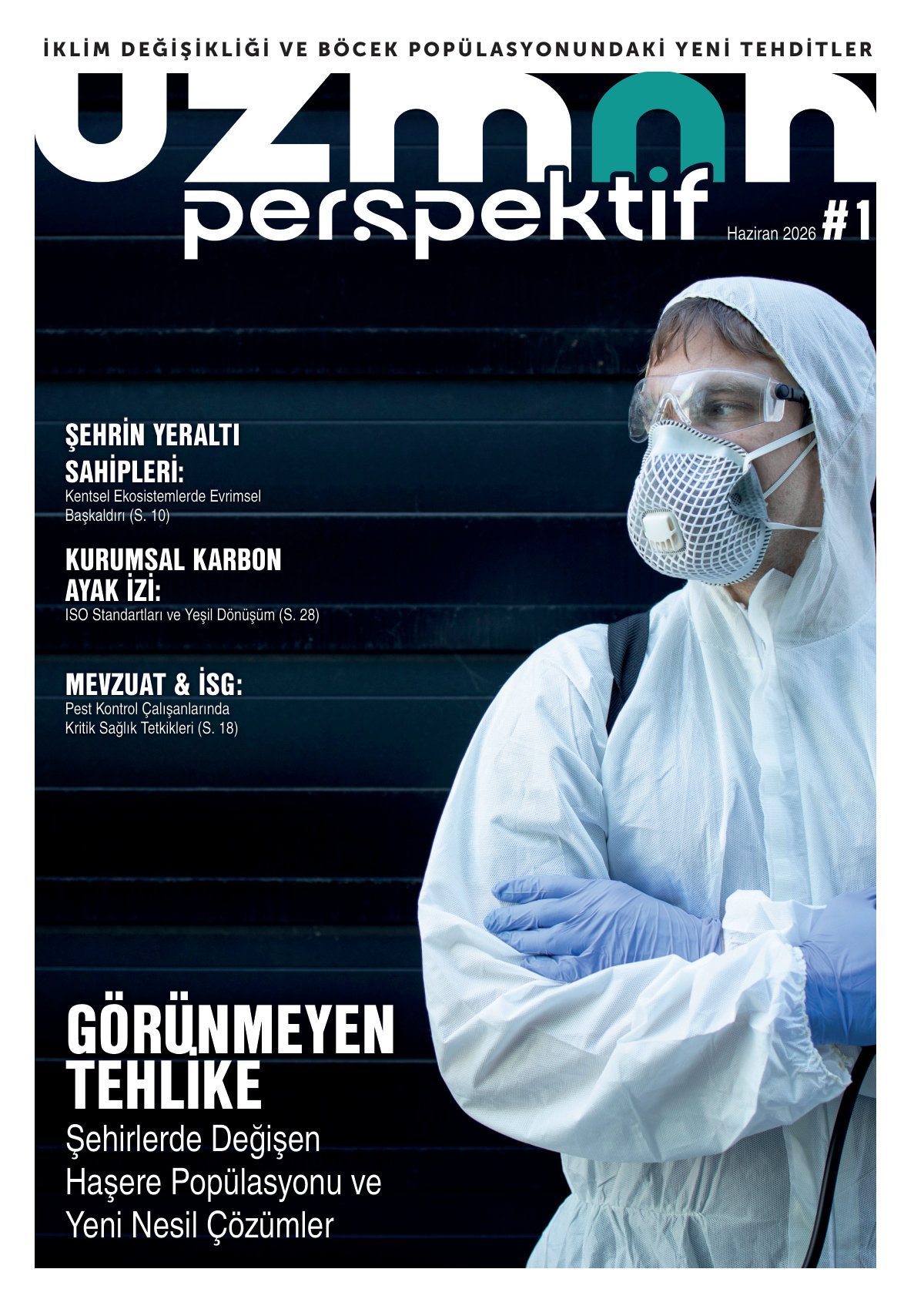 Uzman Perspektif Sayı 1